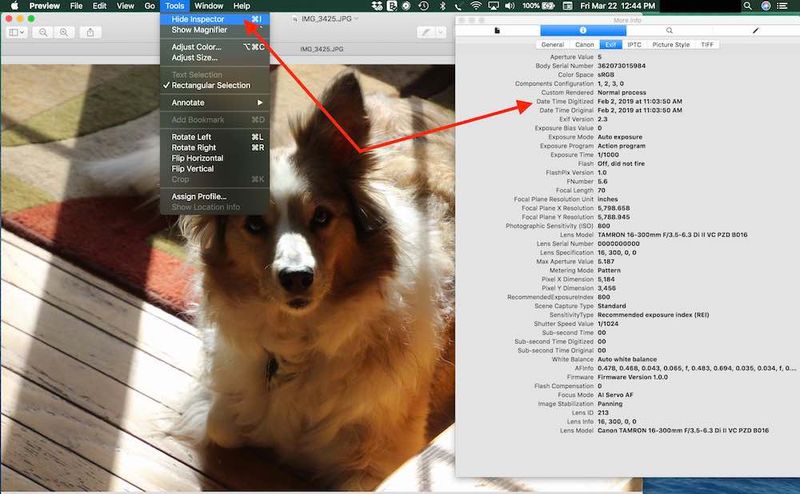 How to get Photo exif info from Preview in Mac.