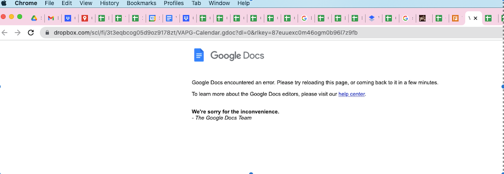 Dropbox Google Doc Error Message.1.10.22.png