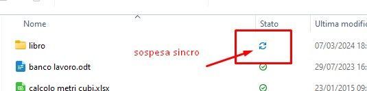 sospesa sincro.jpg